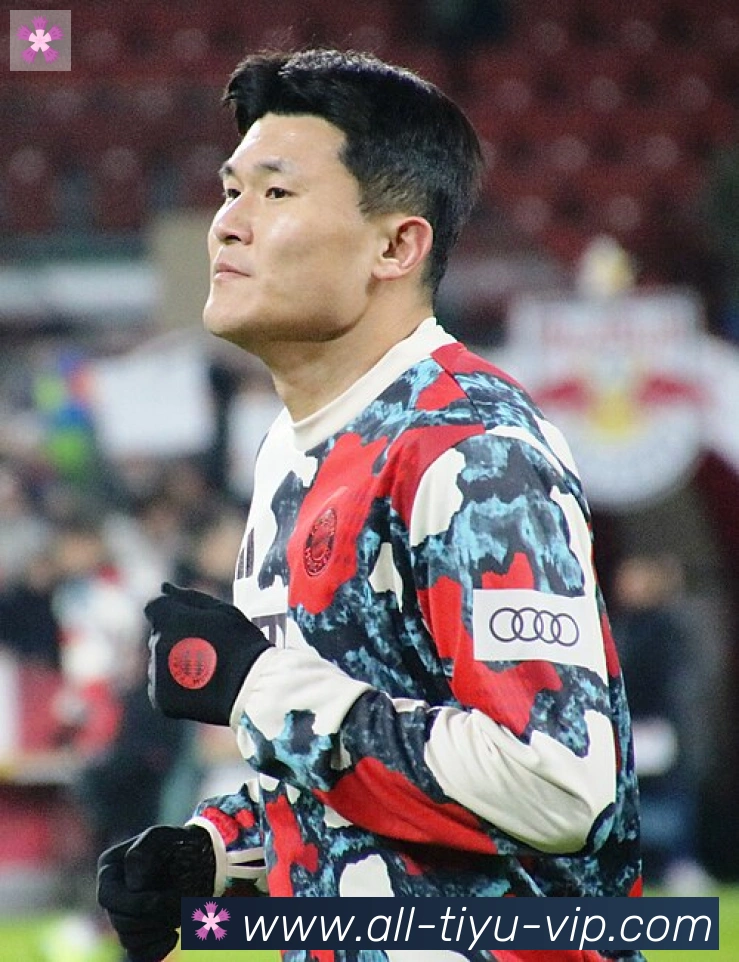 维尼修斯